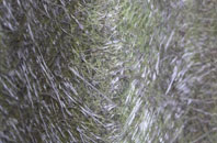 Northern Moor fibreglass roof work